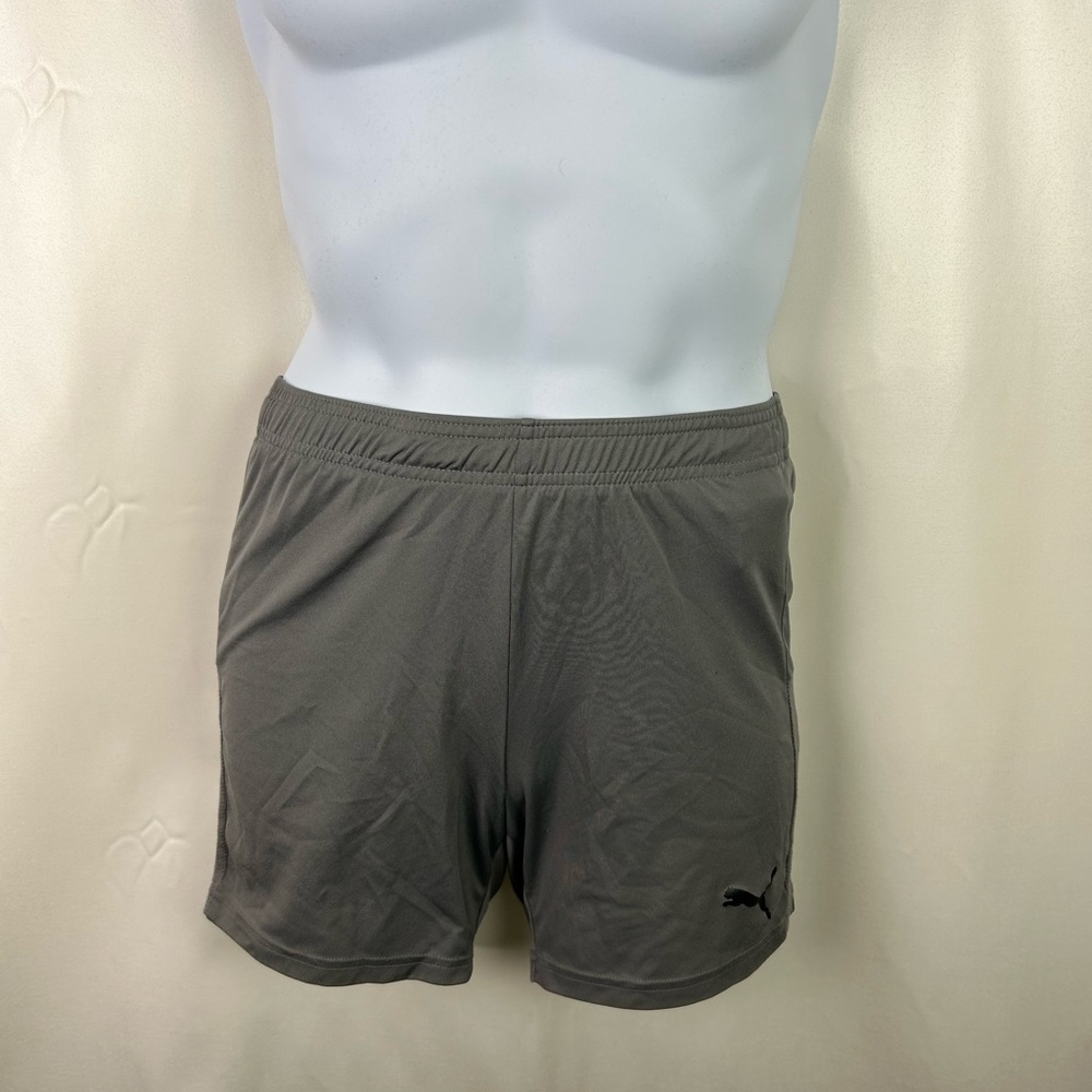 Boy puma shorts Sz L primary color grey